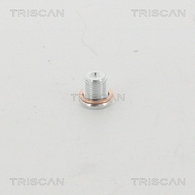 Screw Plug, oil sump (95-0959)