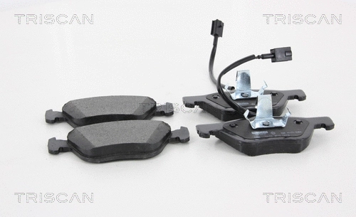 Brake Pad Set, disc brake (8110 12016)