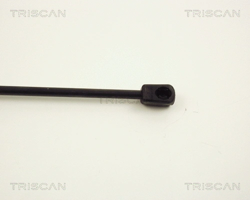 Gas Spring, boot/cargo area