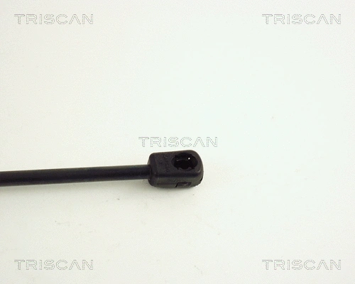 Gas Spring, boot/cargo area