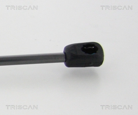 Gas Spring, bonnet