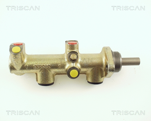 Brake Master Cylinder (8130 29113)