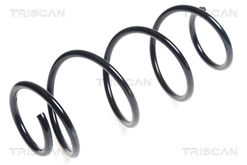 Suspension Spring (8750 25124)