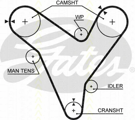 Timing Belt Kit