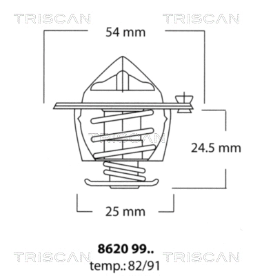 Thermostat, coolant (8620 9991)