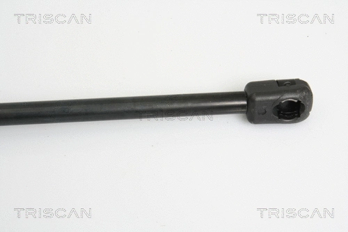 Gas Spring, boot/cargo area
