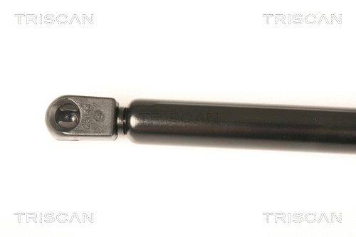 Gas Spring, boot/cargo area