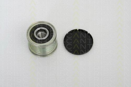 Alternator Freewheel Clutch (8641 104009)