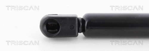 Gas Spring, boot/cargo area