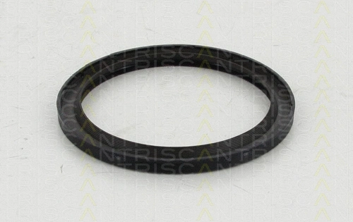Shaft Seal, crankshaft (8550 10041)