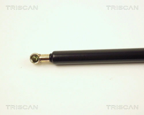 Gas Spring, boot/cargo area
