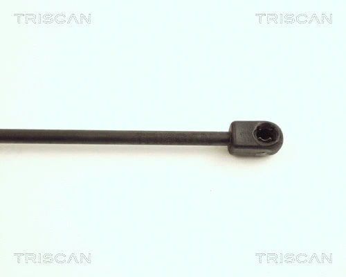 Gas Spring, boot/cargo area