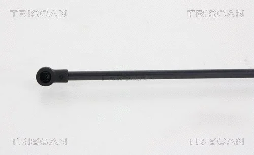 Gas Spring, boot/cargo area