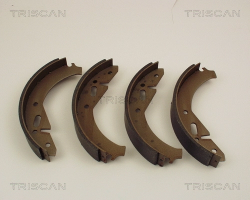 Brake Shoe Set (8100 67305)