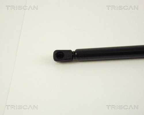 Gas Spring, boot/cargo area