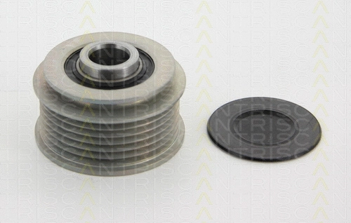 Alternator Freewheel Clutch (8641 434009)