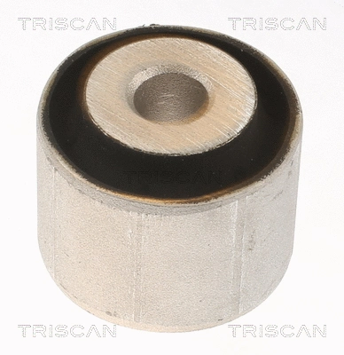 Mounting, control/trailing arm (8500 238029)