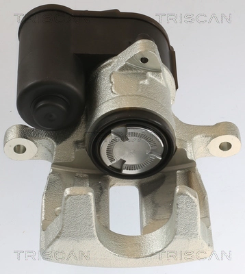 Brake Caliper (8175 29231)
