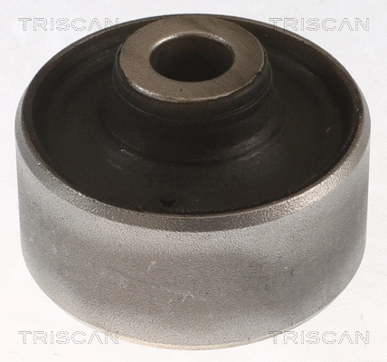 Mounting, control/trailing arm (8500 108005)