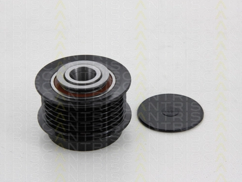 Alternator Freewheel Clutch (8641 804001)