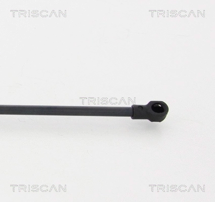 Gas Spring, boot/cargo area