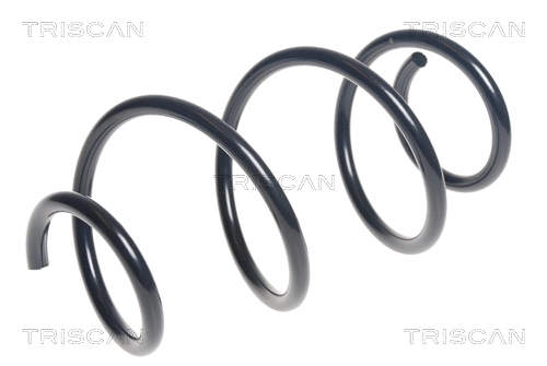Suspension Spring (8750 25127)