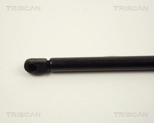 Gas Spring, boot/cargo area