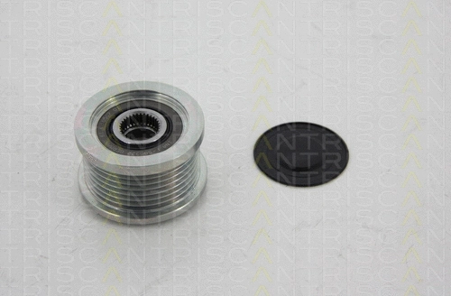 Alternator Freewheel Clutch (8641 134008)