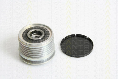 Alternator Freewheel Clutch (8641 254005)