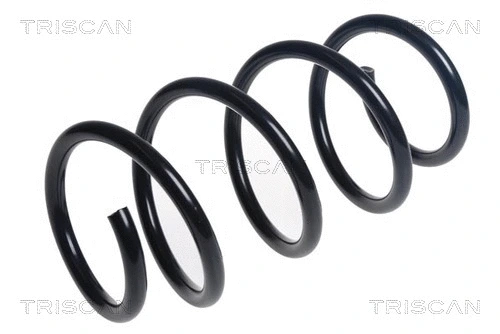 Suspension Spring (8750 23211)