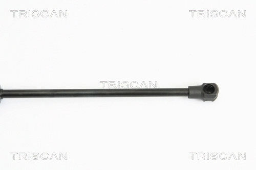 Gas Spring, boot/cargo area
