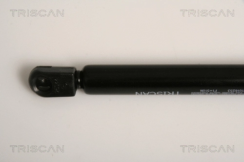Gas Spring, boot/cargo area