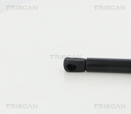 Gas Spring, boot/cargo area