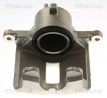 Brake Caliper (8175 14118)