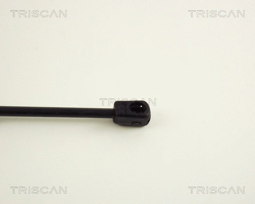 Gas Spring, boot/cargo area