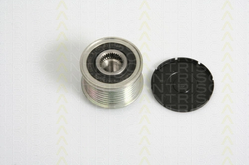Alternator Freewheel Clutch (8641 234011)