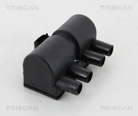 Ignition Coil (8860 24031)