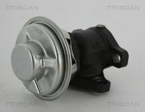 EGR Valve (8813 43022)