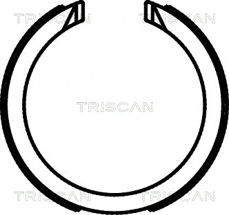 Brake Shoe Set, parking brake (8100 21003)