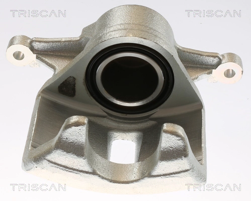 Brake Caliper (8175 13109)