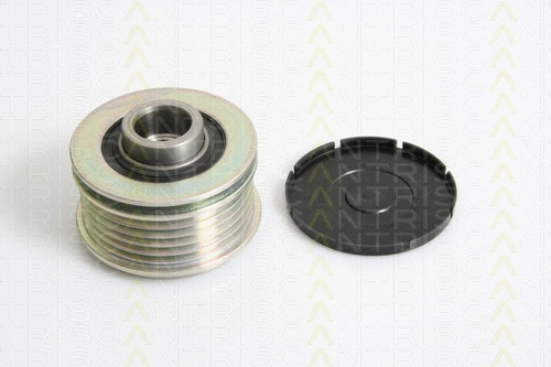 Alternator Freewheel Clutch (8641 254003)