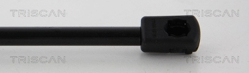 Gas Spring, boot/cargo area