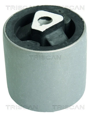 Mounting, control/trailing arm (8500 11845)