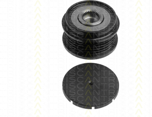 Alternator Freewheel Clutch (8641 294001)