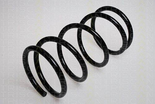 Suspension Spring (8750 16034)