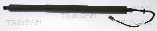 Gas Spring, boot/cargo area (8710 20304)