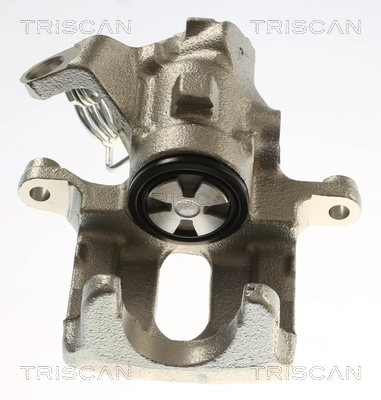 Brake Caliper (8175 15209)