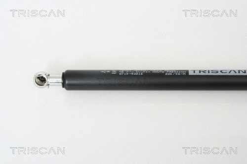 Gas Spring, boot/cargo area