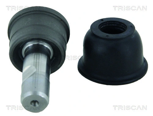 Ball Joint (8500 80104178)