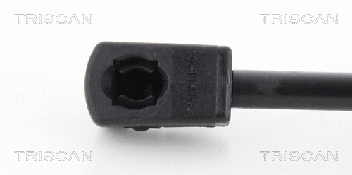 Gas Spring, boot/cargo area